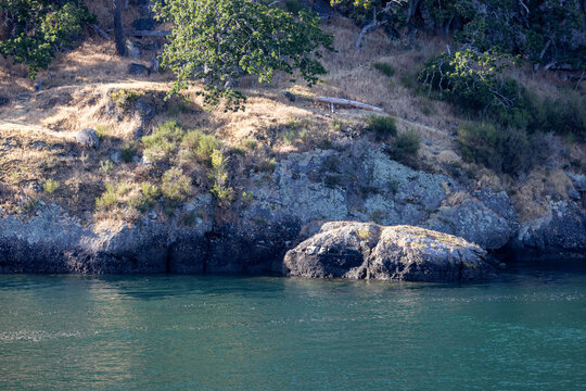 Coastal Rocky Shoreline With Oak Trees And Dry Grass On Galiano Island, British Columbia, Canada