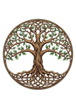 An intricate celtic tree of life circular ornament featuring vintage knots and roots. Symmetrical ancient nature symbol on white backdrop, knot, roots, celtic