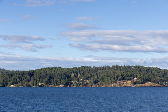 Calm Ocean and Forested Coastline Under Blue Sky Over Gulf Islands, British Columbia, Canada
