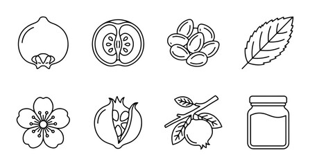 Obraz premium Pomegranate Fruit Icons, Fresh Food Elements, Botanical Illustrations, Healthy Ingredient Graphics