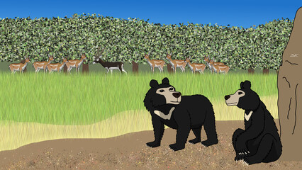 Sloth Bear Sanctuary  © Diego