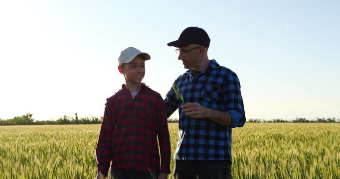 Father and son walking through green wheat field while discussing crops and smiling together. Father embraces child and shows wheat plant, sharing knowledge, experience and family values.