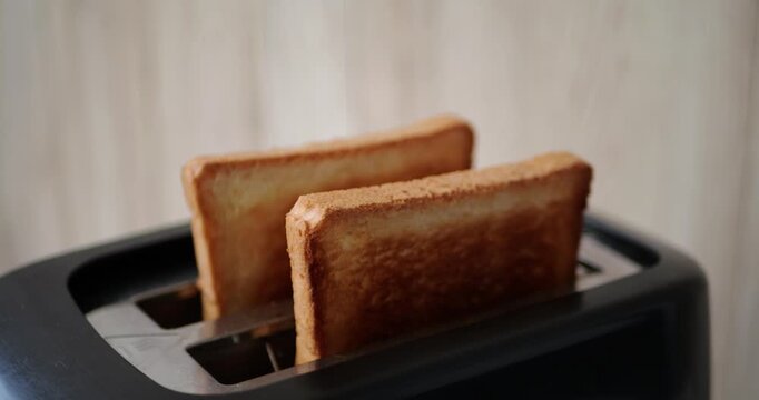 Freshly toasted bread slices pop up from modern toaster. Breakfast preparation begins in cozy kitchen. Delicious aroma fills air, creating warm atmosphere.