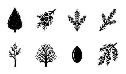 Coniferous Forest Elements, Evergreen Sprigs, Winter Tree Silhouette, Botanical Icons © Sijan