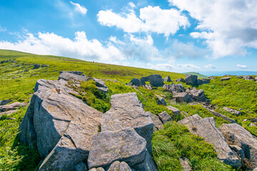 Naklejka premium alpine grassy meadow. carpathian mountains landscape with huge boulders. alpine nature scenery of ukraine highlands in summer. view of remote place in mountains