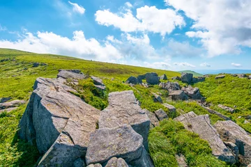 alpine grassy meadow. carpathian mountains landscape with huge boulders. alpine nature scenery of ukraine highlands in summer. view of remote place in mountains © Pellinni