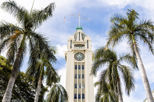 Historic Aloha Tower clock tower framed by palm trees, Honolulu Harbor, Oahu