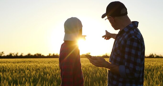 Father and son use smartphone in wheat field at sunset, discussing plans and looking toward future together. Rural scene highlights family agribusiness, farm planning and generational continuity.