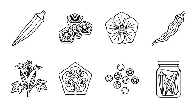 Okra icons and illustrations, outline style, for food and agriculture design