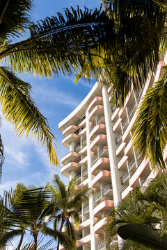 Palm trees framing a tall Waikiki beachfront hotel tower, Oahu