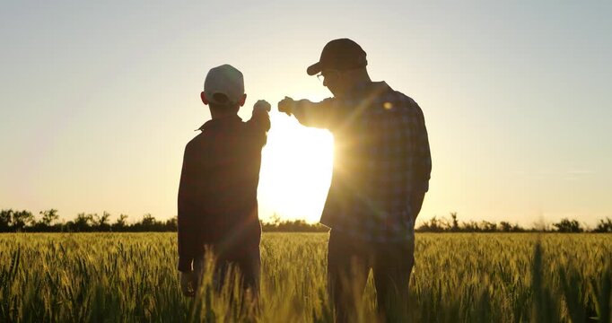 Father and son silhouettes point toward horizon in wheat field at sunset. Countryside scene represents shared vision, family values, guidance and looking toward future together.