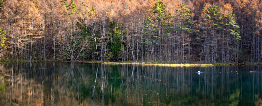 Mishaka Pond in autumn, Chino, Nagano Prefecture, Japan