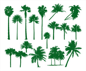 Obraz premium palm trees.