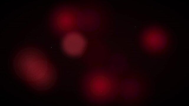 deep burgundy luxury bokeh vector motion background