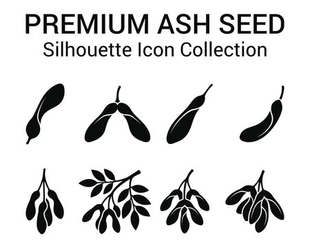 Ash seed silhouette icon collection premium vector graphics for botanical illustrations and fruit design projects