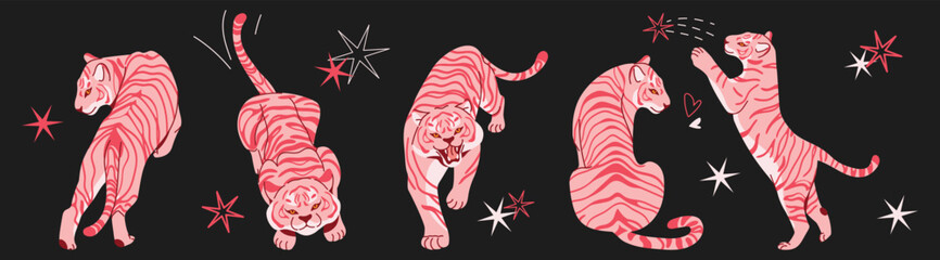 Cute pink tiger collection with playful poses, stars and whimsical details. Walking, roaring, sitting and playful striped wild cats. Flat vector animal illustrations isolated on white background. © m_matvi