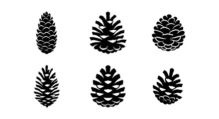 Pine Cone Vector Icons Set, Black and White Forest Elements, Nature Graphics Collection © KHAN