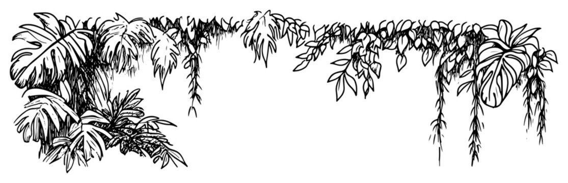 Tropical leaves and hanging plants frame with monstera foliage in botanical sketch style