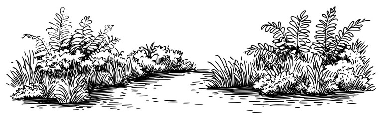 River bank landscape with wild ferns and plants in vintage hand drawn ink style © Kaz