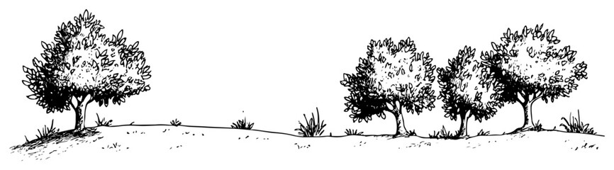 Fototapeta premium Row of leafy trees on a grassy meadow hill in hand drawn sketch style