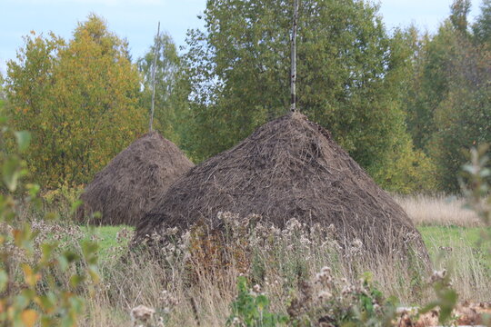 two haystacks in a meadow in the autumn forest