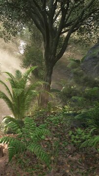 Green ferns grow along the ground near a rocky area. Tall trees surround the space, and soft sunlight shines through the leaves. The scene shows a dense forest and natural landscape.