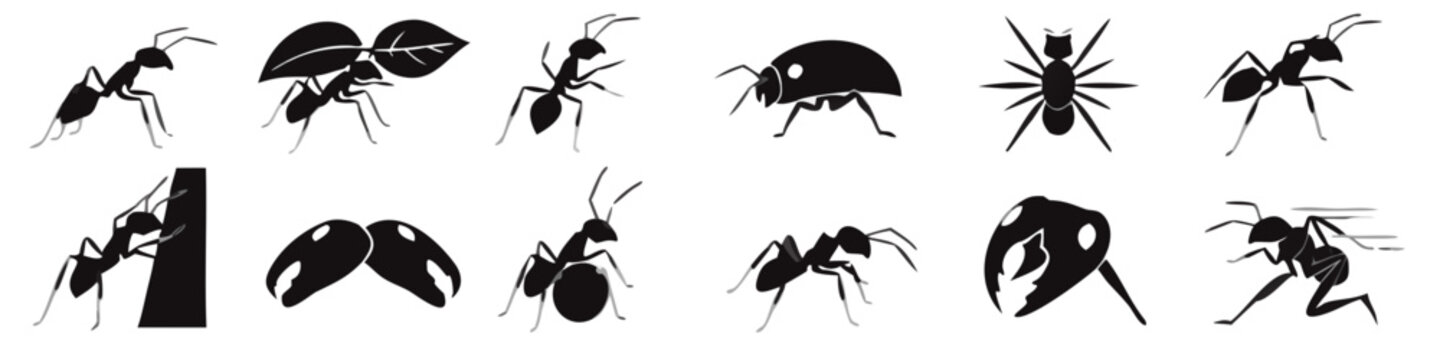 Various insect silhouettes including ants a ladybug and a spider against a white background
