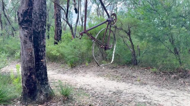 Footage of an old and discarded rusty bicycle hanging from a rope in a tree on a remote hiking trail near a valley in the Blue Mountains in New South Wales, Australia