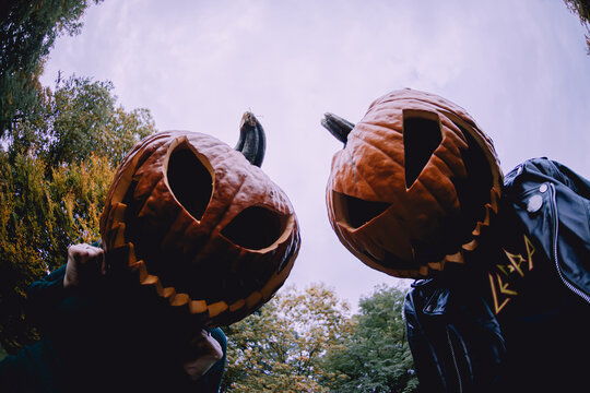 Couple, looking like maniacs, with jack-o'-lantern pumpkins on their heads looking down at a camera. Concept of Halloween, horror, and terror. 