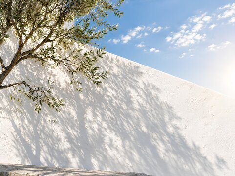 Summer Breeze. Olive tree casting shadows on a white wall under a clear blue sky with scattered clouds, creating a serene outdoor setting in a Mediterranean environment
