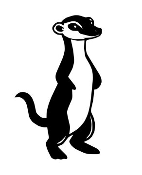 A mongoose standing on hind legs, looking alert with bushy tail.