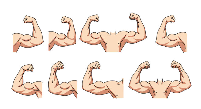 Collection of different cartoon male arms showing strong biceps and muscular chest isolated on a white background.