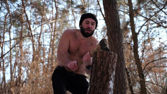 Muscular bearded guy chopping firewood in sunny winter forest. Shirtless young man working with axe in snowy woodland. Concept of strength, masculine, energy and harmony with nature during cold season