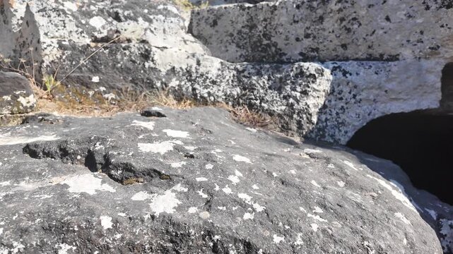 Salina, Malta - weathered limestone blocks bearing small carved openings and lichen growth surround the ancient Paleo-Christian catacomb complex, with wild plants sprouting between the ancient stonewo