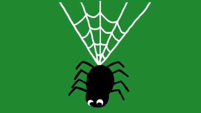 Cute black spider hanging from a web with googly eyes cartoon animation on green screen chroma key background