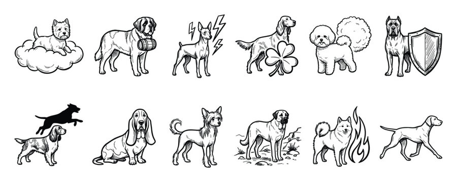 Set of dog breeds and their unique symbols for pet ownership education applications