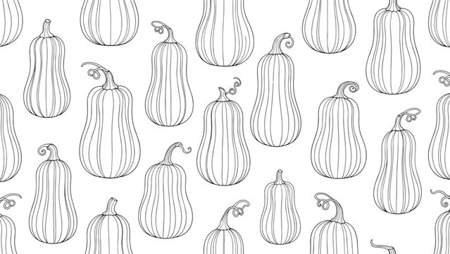 Pattern of various butternut squashes and pumpkins rendered in black line art with detailed textures on a plain white background.