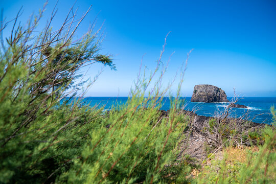 Scenic coastal view of a rocky islet in the blue ocean framed by green bushes in Madeira