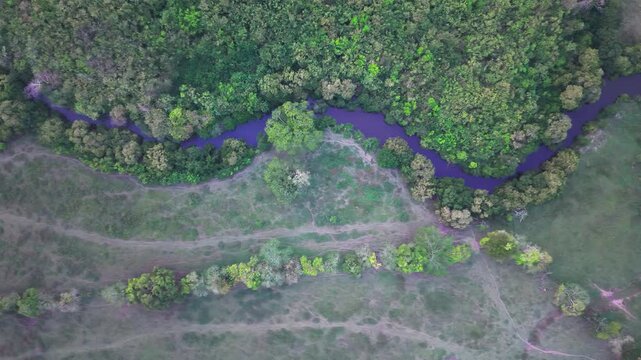 Aerial view of a winding river flowing through a green forest in Tuxpan. Drone shot of scenic nature landscape in Veracruz, Mexico.