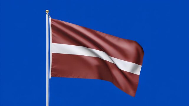 Latvian flag waving proudly against a plain blue screen background, a symbol of patriotism and national identity in motion