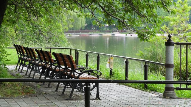 夏の上野恩賜公園、不忍池のほとりに並ぶベンチの風景