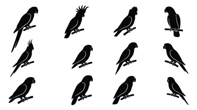 Twelve distinct black parrot silhouette icons arranged in a grid for creative graphic design projects today