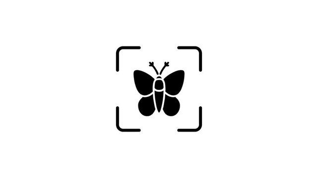 A motion graphic video of a butterfly icon being scanned, representing digital identification or insect recognition technology on a white background.
