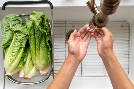 Washing hands before handling fresh romaine lettuce