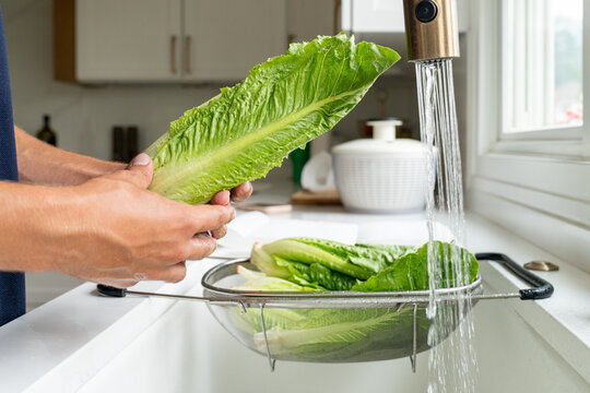 Hand inspecting romaine lettuce leaf near kitchen sink