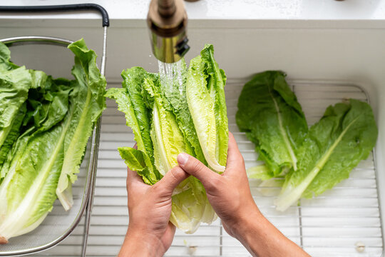 Hands washing romaine lettuce under kitchen sink faucet