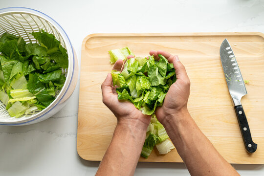 Hands transferring chopped romaine lettuce into salad spinner