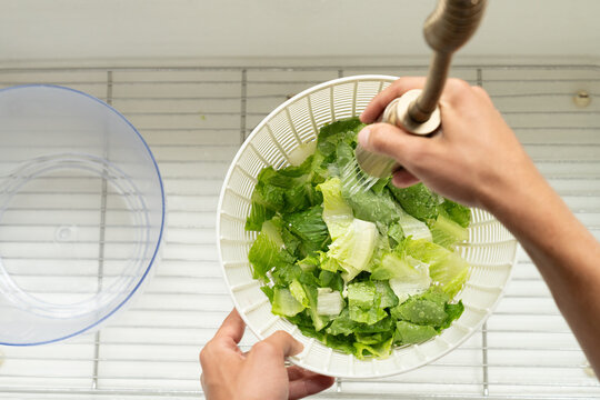 Hand operating salad spinner with chopped romaine lettuce