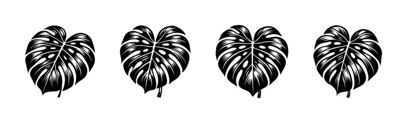 Monstera deliciosa leaves in a striking black and white graphic style © UnIcons