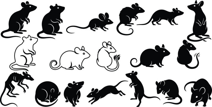 black and white silhouette illustrations of various rats and mice for halloween